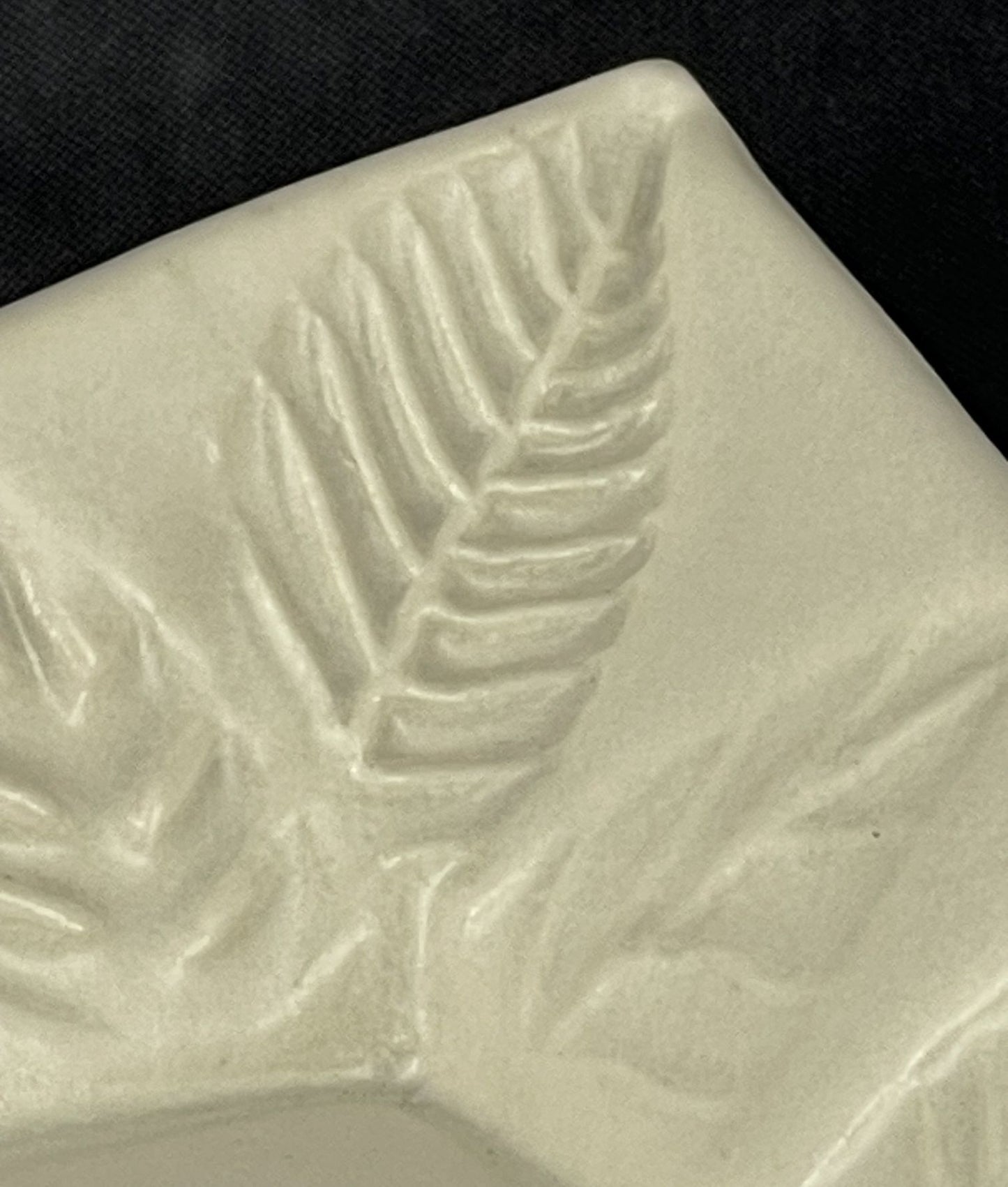 Porcelain Plate with Embossed Leaves Border