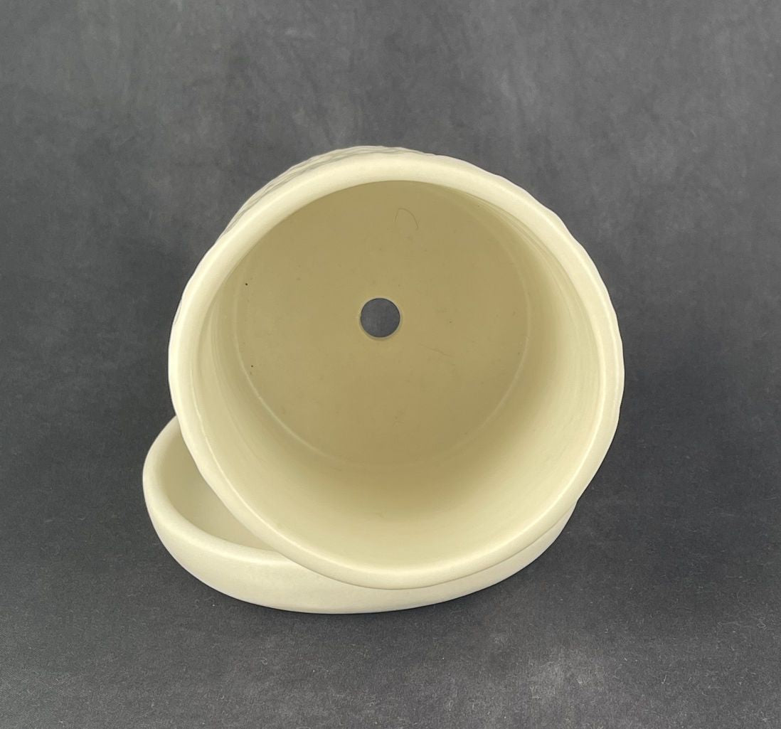 Porcelain Planter with Drip Tray