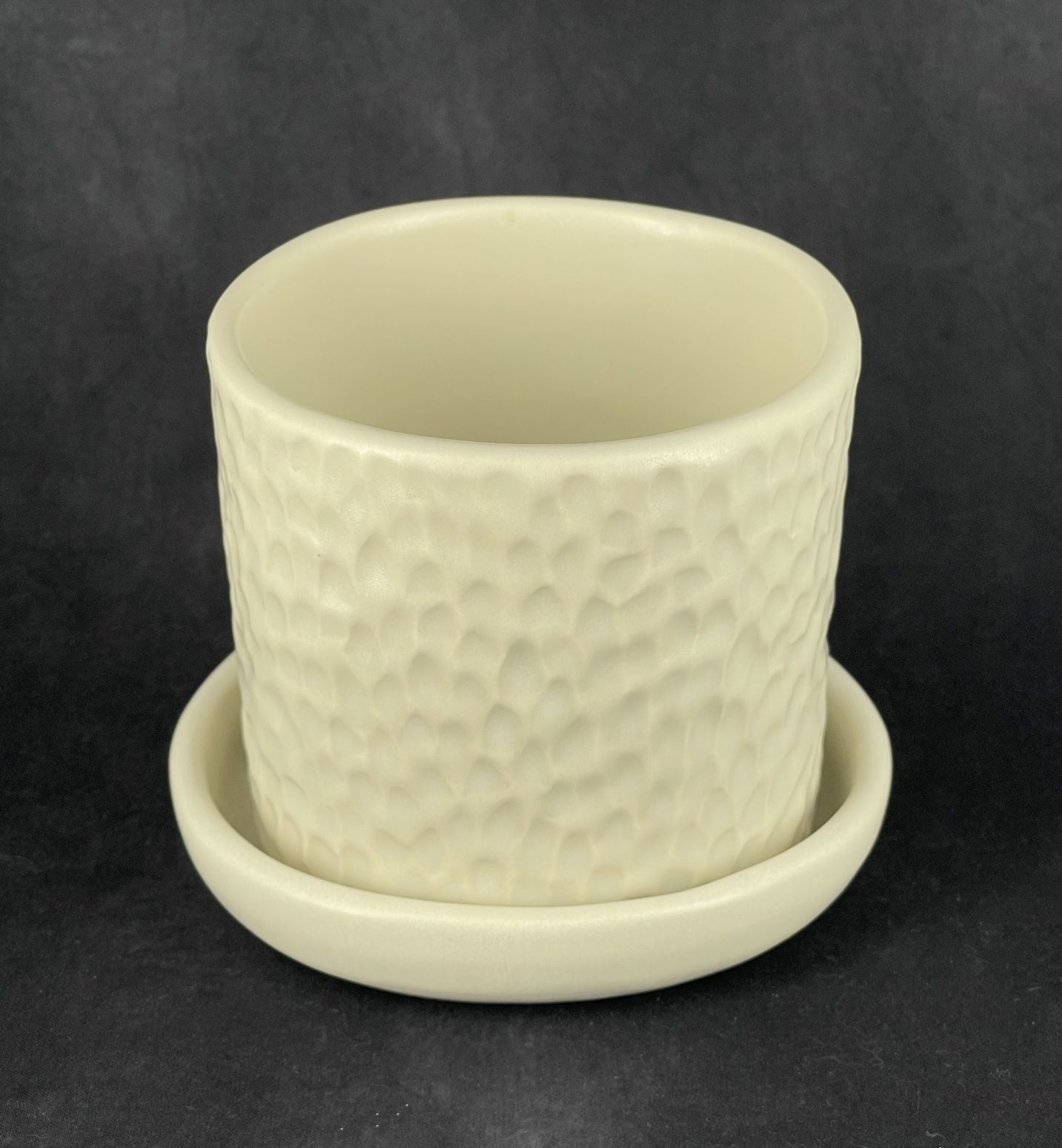 Porcelain Planter with Drip Tray
